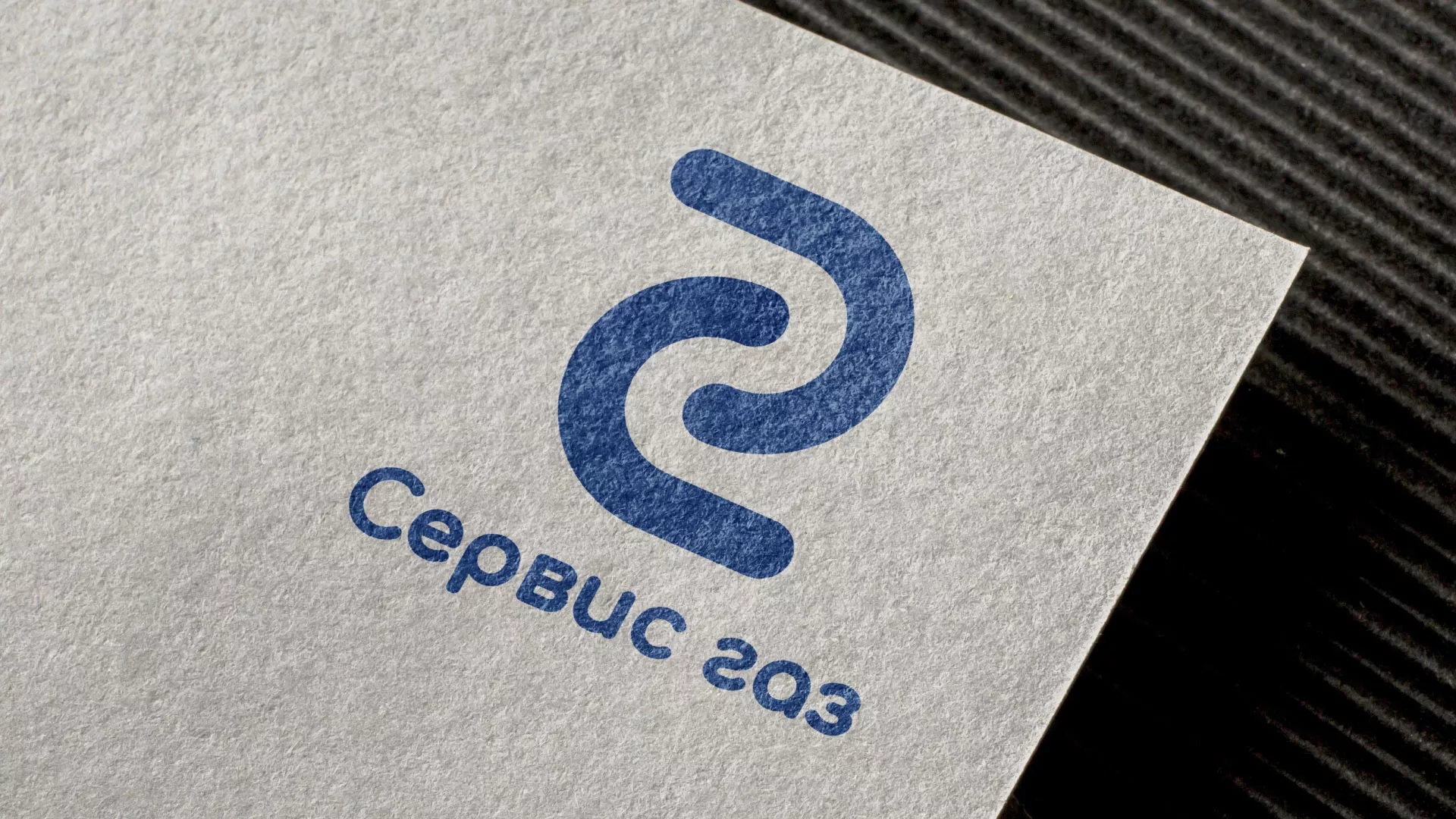 Разработка логотипа «Сервис газ» в Сестрорецке