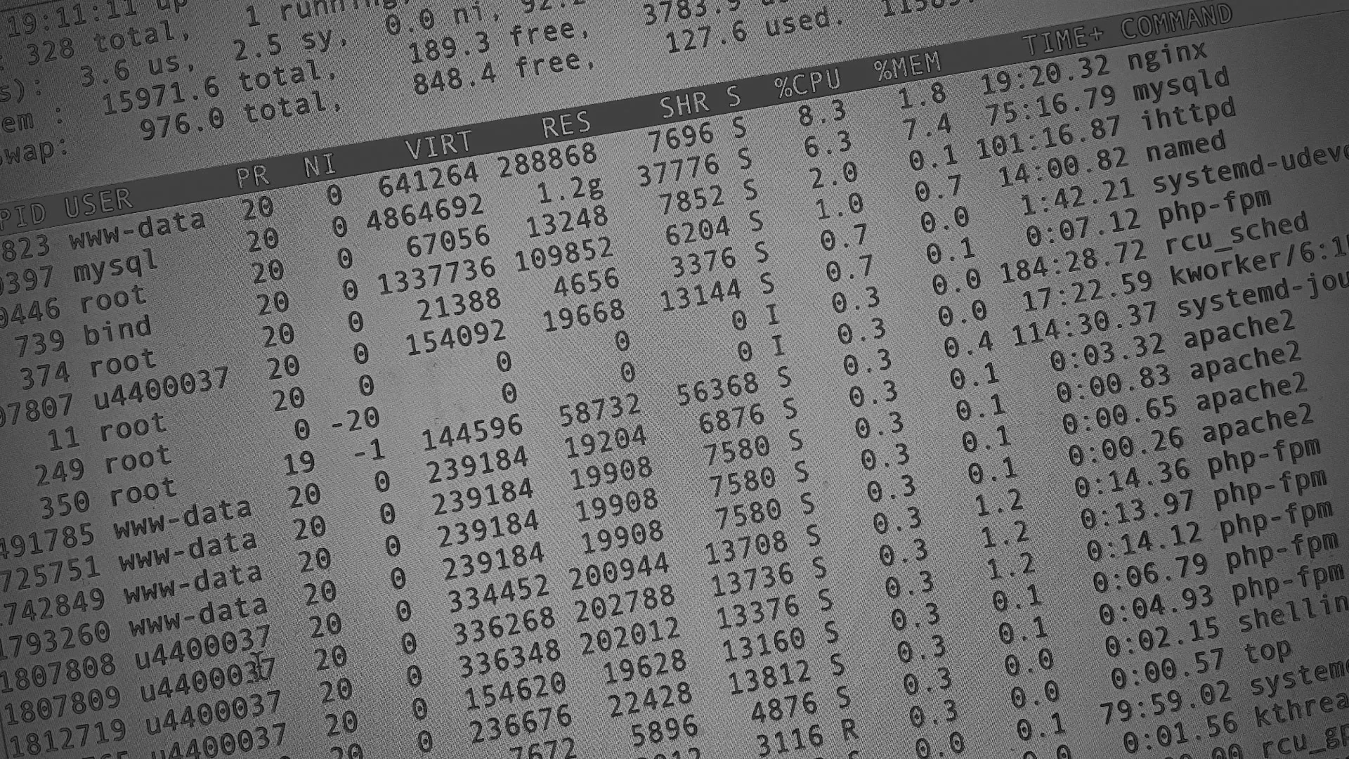 Настройка сервера в Сестрорецке