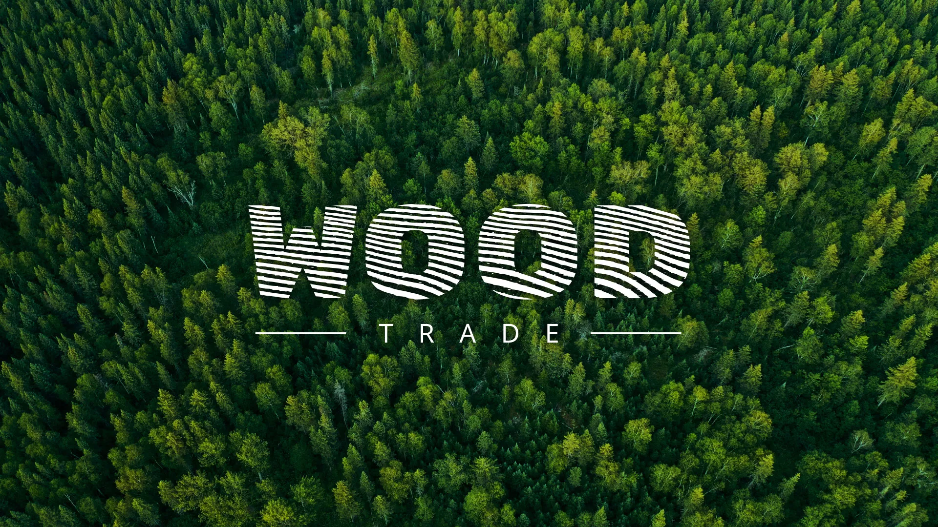 Разработка интернет-магазина компании «Wood Trade» в Сестрорецке
