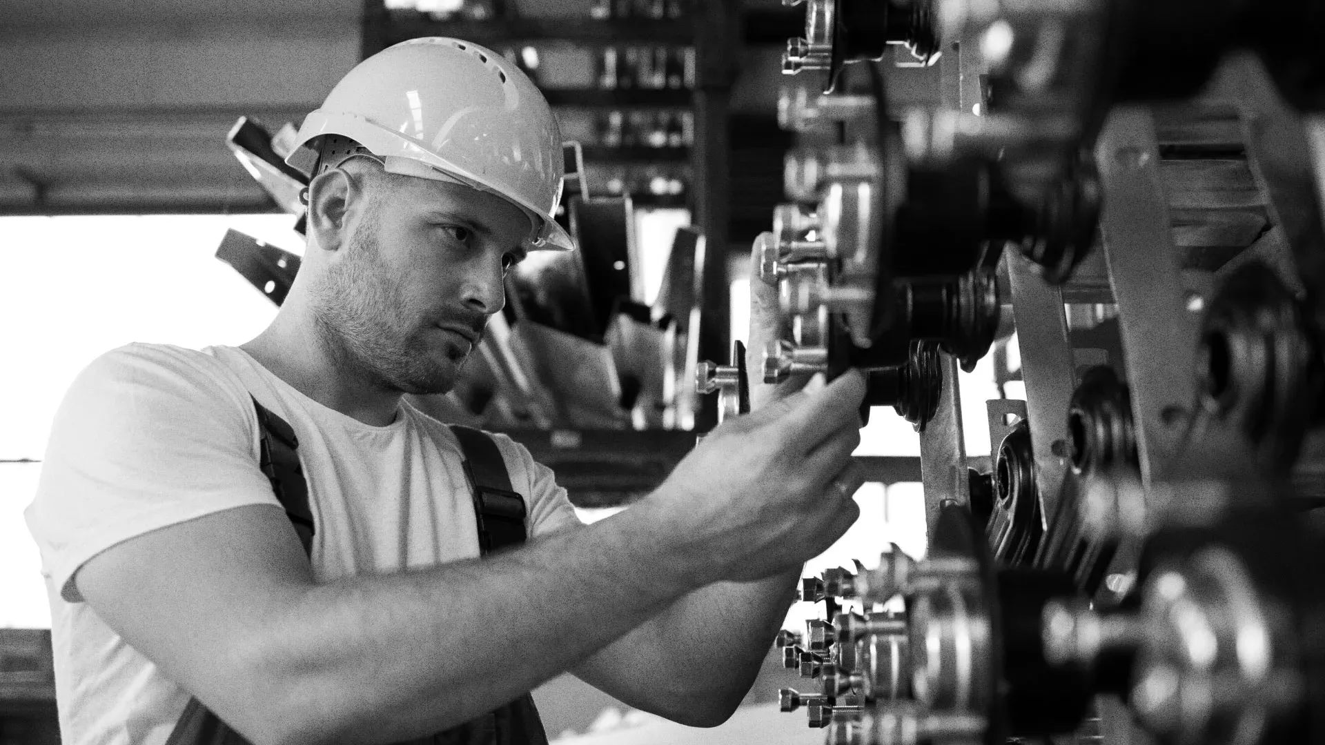 Разработка сайта для завода по продаже оборудования в Сестрорецке